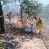 22-Incendio-el-Jorullo Incendio controlado: Regresan bomberos de Vallarta
