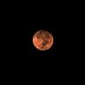 Cuándo y a qué hora se verá la Luna de Fresa ¿Cuándo y a qué hora se verá la Luna de Fresa?