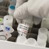 Novavax dice que su vacuna anticovid es más del 90% efectiva Vacuna contra el Covid-19