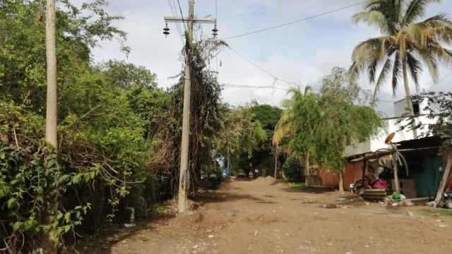 Entorpecen postes de la CFE avance de obra en la avenida Paseo de las Flores Obra en paseo de las flores