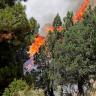 Muere adolescente en Líbano cuando ayudaba a apagar incendio forestal Incendio forestal en Líbano cobra la vida de un joven de 15 años