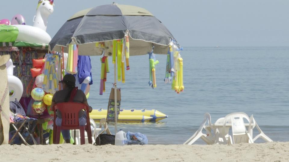 Rincon de Guayabitos