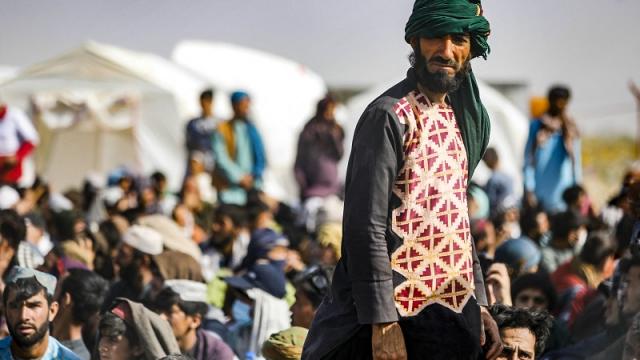 ONU advierte que talibanes planean ejecutar a afganos que ayudaron a EEUU Documento de la ONU indica que talibanes torturarían y ejecutarían a afganos que ayudaron a EEUU