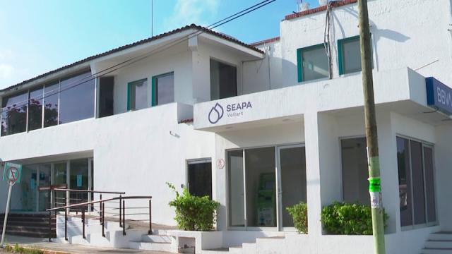 Tres empresas auditarán Seapal y dependencias del H. Ayuntamiento de Vallarta Tres empresas auditarán Seapal y dependencias del H. Ayuntamiento de Vallarta