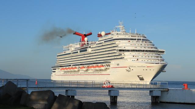 Quinto arribo del crucero Carnival Carnival Panorama