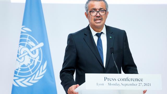 Denuncian a personal de la OMS por múltiples abusos sexuales en RD del Congo Director general de la OMS