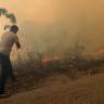 Ejecutan a 24 en siria por provocar incendios en 2020 Incendios forestales en siria
