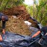 destruyen secadero con 25 mil plantas de marihuana en Tequila había 25 mil plantas de marihuana fue destruido por oficiales de la Policía del Estado