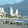Aforos en Puerto Vallarta Puerto Vallarta
