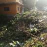 Basura, malos olores y alcantarillas peligrosas en Coapinole Basura