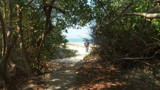 Seapal Vallarta y Oromopas analizan contaminación en mar de Punta de Mita Punta de Mita