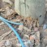 Denuncian en Loma Bonita un poste en mal estado Poste en mal estado