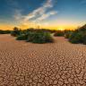 Desertificación Algunos daños parecen irreversibles, como la extinción de diferentes especies