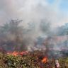 Se incendia pastizal en el fraccionamiento Azul Turquesa en San José del Valle se registró incendio en un terreno ubicado en el fraccionamiento Azul Turquesa