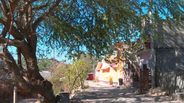 Vecinos de la colonia Loma Bonita en la calle Aldama peligro por la afectación al tendido eléctrico
