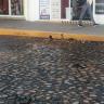 Escurrimiento de agua contamina la Playa Camarones 3 Escurrimientos aguas negras