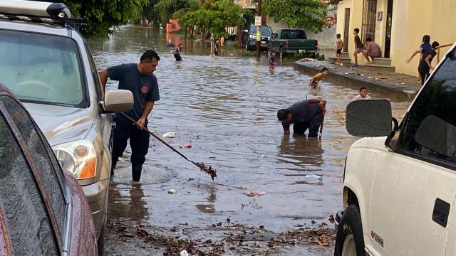 Árboles caídos y encharcamientos los reportes más frecuentes por lluvias: PC Calle inundada en Puerto Vallarta