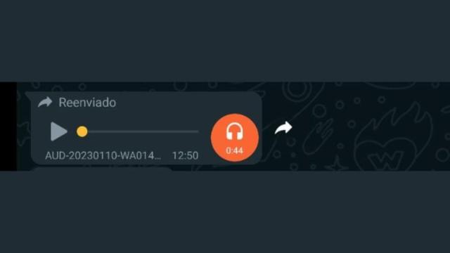 El audio se ha difundido en redes sociales